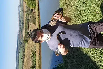 פאזל של Valter cobra