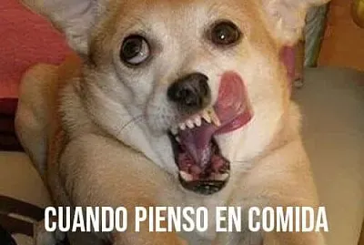 riku 4 jigsaw puzzle