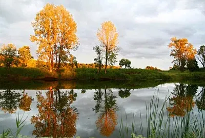 effet miroir jigsaw puzzle