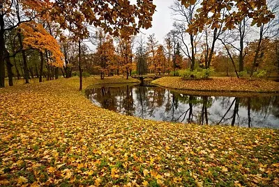 automne jigsaw puzzle