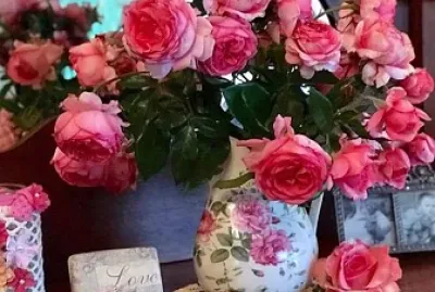 flores