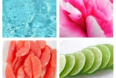 Colores tropicales