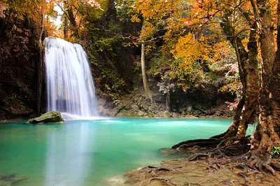 Forest waterfall