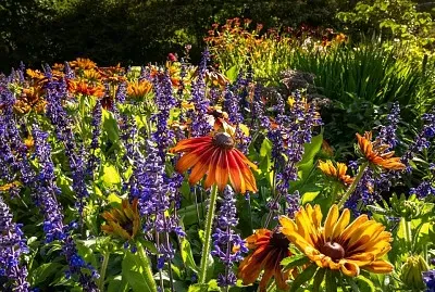flores