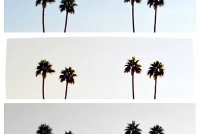 Palm trees on filters jigsaw puzzle