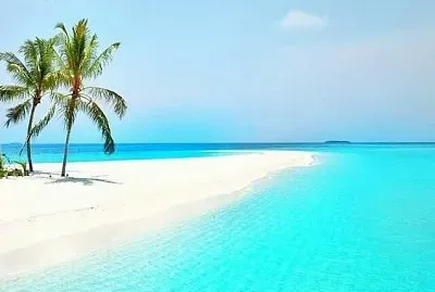 Itsmo palm trees
