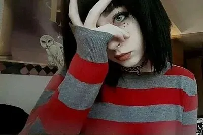 פאזל של can you see the owl?