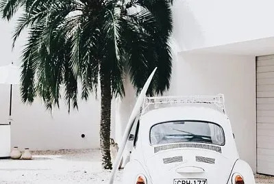 Fusca and palm tree