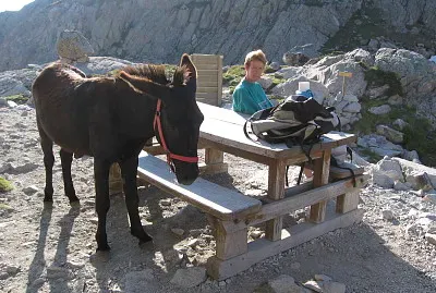 pyrenees
