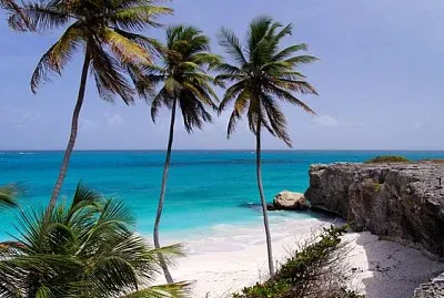 Acantilado tropical