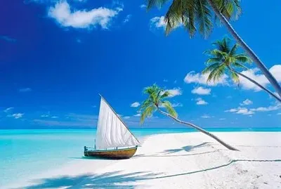 Beached boat