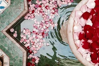 Rose petals in fountain