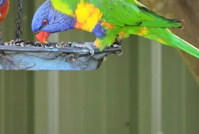 general
