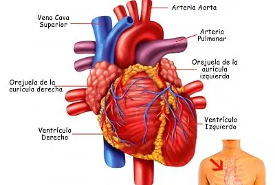 educacion jigsaw puzzle