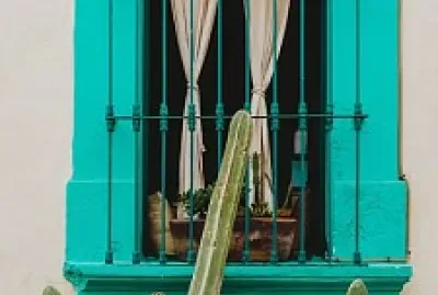 פאזל של general