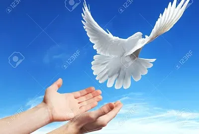 valor