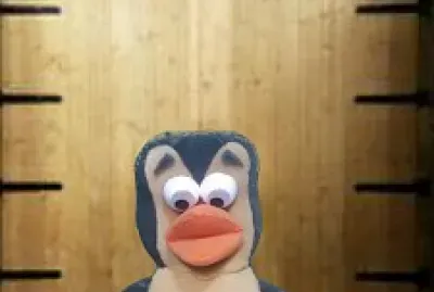 PingÃ¼ino