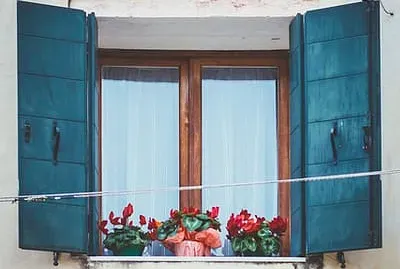 פאזל של general