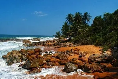 cÃ´te ivoirienne jigsaw puzzle