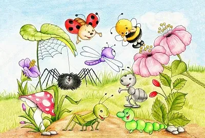 animales