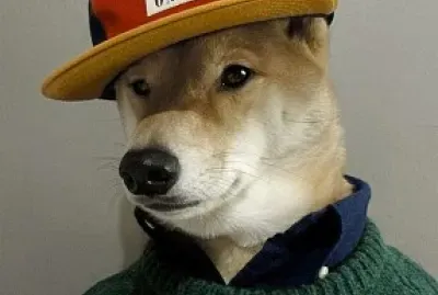 פאזל של cachorro shiba