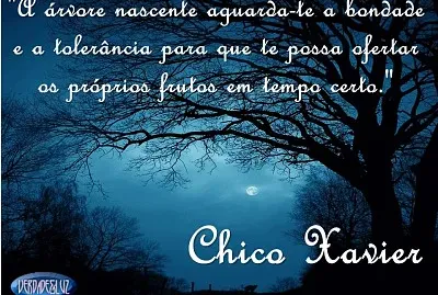 Perda de entes queridos