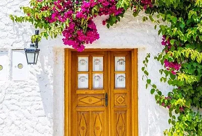 flores