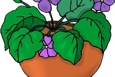 plantas jigsaw puzzle