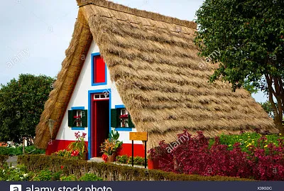 פאזל של naturaleza