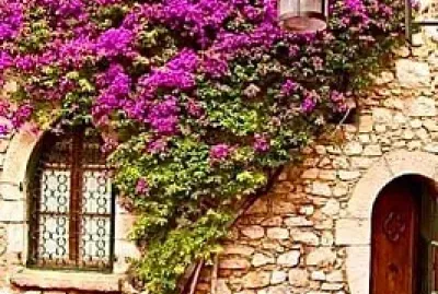 flores
