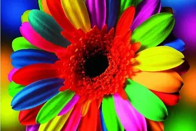 flores jigsaw puzzle