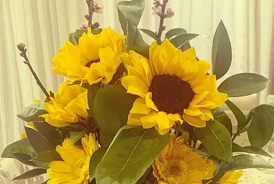flores