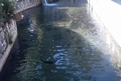 Ingenio - Huancayo jigsaw puzzle