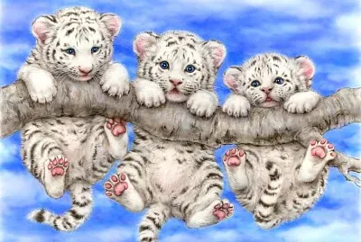 imagem jigsaw puzzle