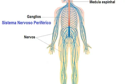AULAS DE CIÃŠNCIAS jigsaw puzzle