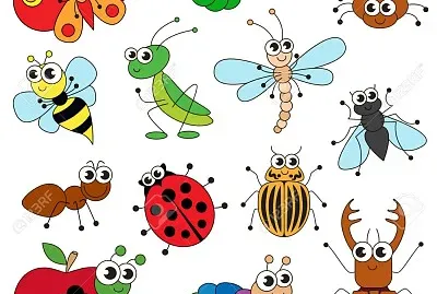 colorido jigsaw puzzle