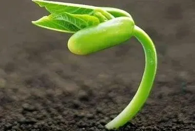 CENÃRIO K128 jigsaw puzzle