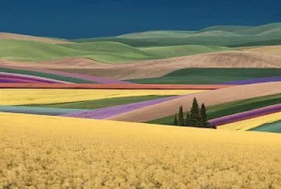 natural jigsaw puzzle