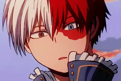 shoto jigsaw puzzle