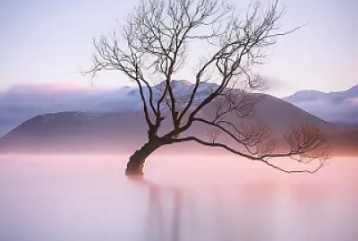 natural jigsaw puzzle