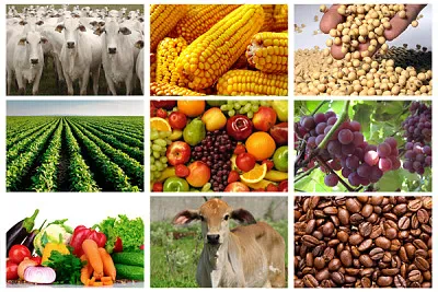 Mosaico jigsaw puzzle