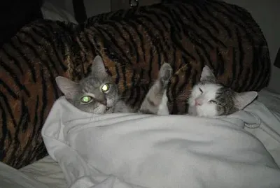 Cozette and Sweet Pea High Five