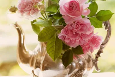 פאזל של flores