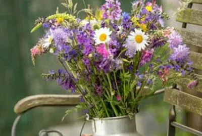 flores