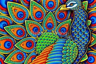Colorful Peacock