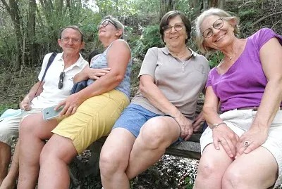 פאזל של mont dore