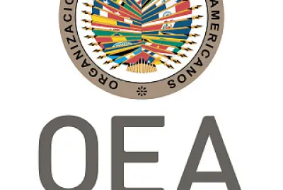 OEA jigsaw puzzle