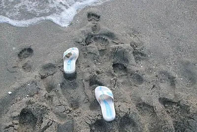 Mare