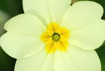 natureza1