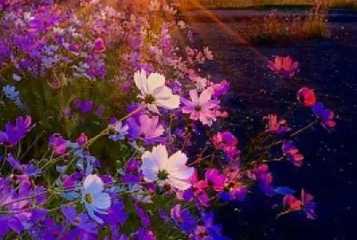 rosas silvestres jigsaw puzzle